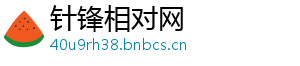 针锋相对网